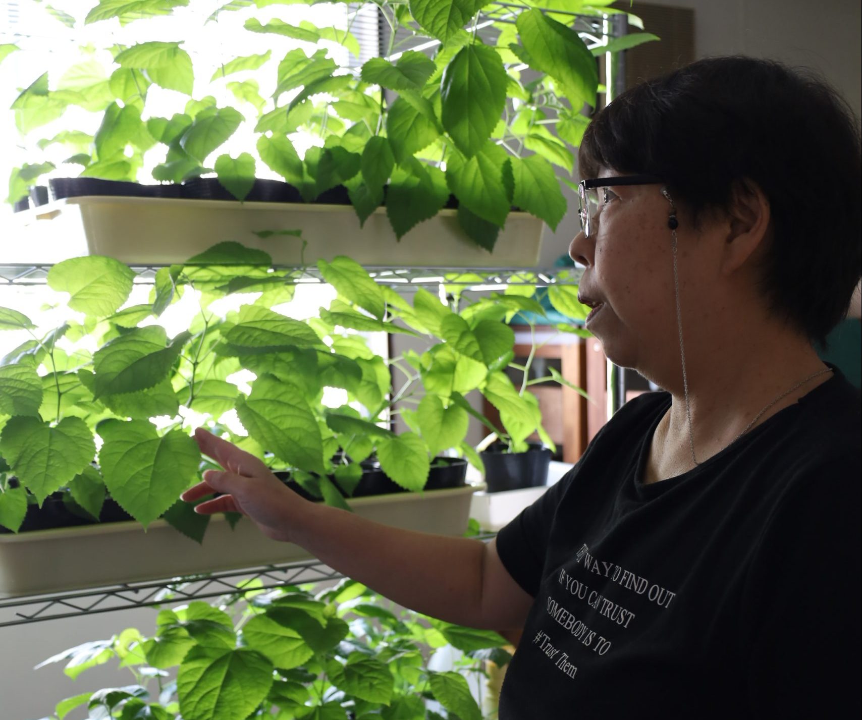 okaya silk story banner image